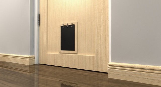 Cat Flap Installation Northwood, Moor Park, HA6