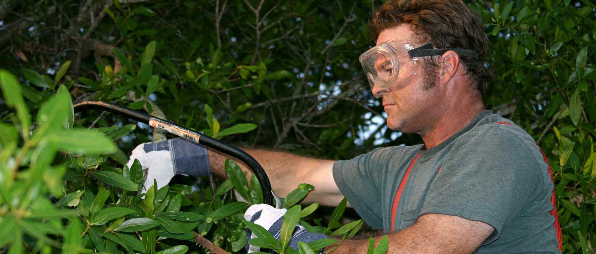 garden clearance HA6